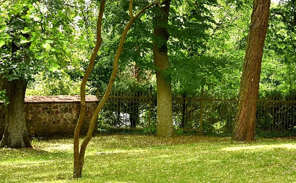 Zweigeteilte Kirchhofeinfriedung, 2025